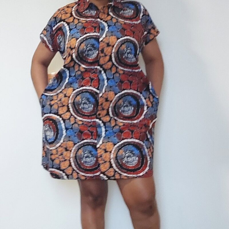 Sera Detachable sleeve Dress